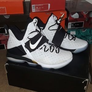 LeBron 14 BHM